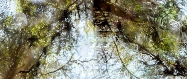 Event-Image for 'in the shadows beneath branches and scars'