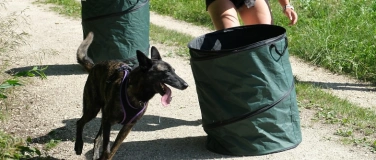 Event-Image for 'Postenlauf im Wald f&uuml;r Menschen mit Hund'