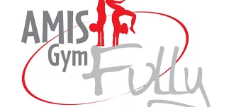 Organisateur de Soirées de gymnastique des AmisGym Fully