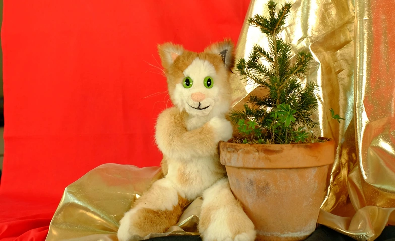 Event-Image for 'Carusos Weihnachten'
