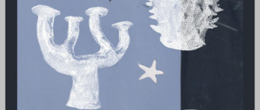 Event-Image for 'Carve up! (CH) and Bingo Hall Rover Boys (CH)'