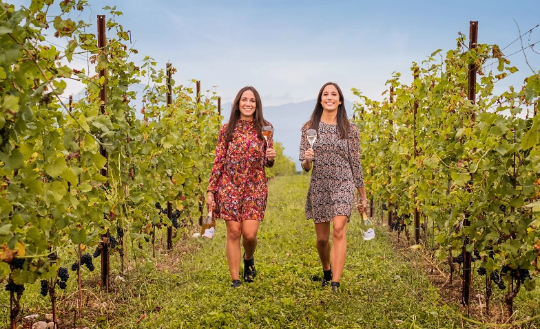 Baur au Lac Vins-Sommerfest  PALADIN &amp; Amici in Regensdorf Tickets