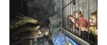 Event-Image for 'Kinderclub: Ferien-Spass zum Thema Drachen'