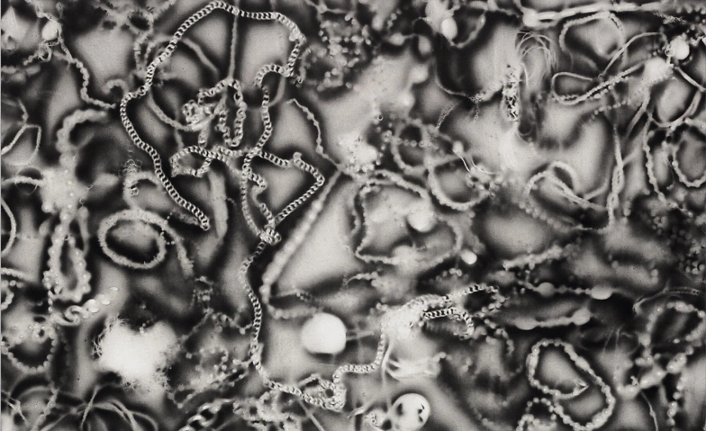 Event-Image for 'Tracks and Traces'