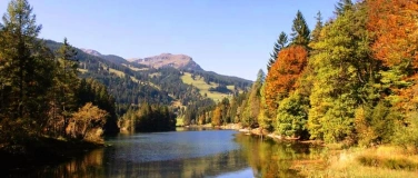 Event-Image for 'Autumn Hike, Yoga and recharge from the power of Kraftort*.'