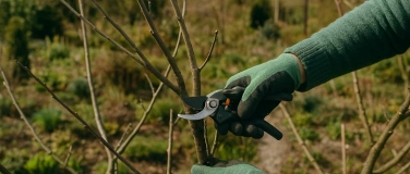 Event-Image for 'Naturgarten-Pflegekurs, Teil 1'