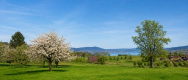 Event-Image for 'SUNSET FLOW LAKESIDE YOGA WITH SUSANN HEIMGARTNER'