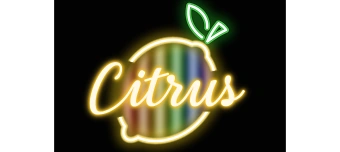 Veranstalter:in von LE BAL D&rsquo;AMANDA &mdash; Doll House Edition