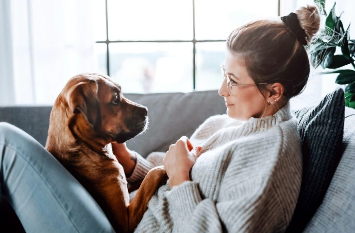 Tagesseminar Tierkommunikation/Tiertelepathie in Zürich Gesundheitszentrum Laubegg, Hegianwandweg 16, 8045 Zürich Tickets