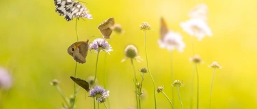 Event-Image for 'Naturfotografie f&uuml;r Kinder von 7 bis 13'