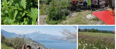 Event-Image for 'Kräuterwanderung am Fusse der Rigi'
