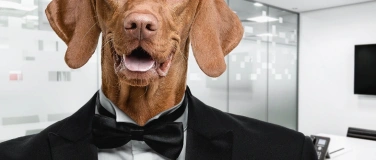 Event-Image for 'Chiens, Humains: diff&eacute;rences et similitudes (Corinne Martin)'