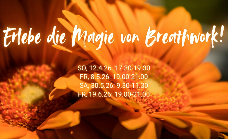 Pure Breathwork Workshop (holotrope Atmung)