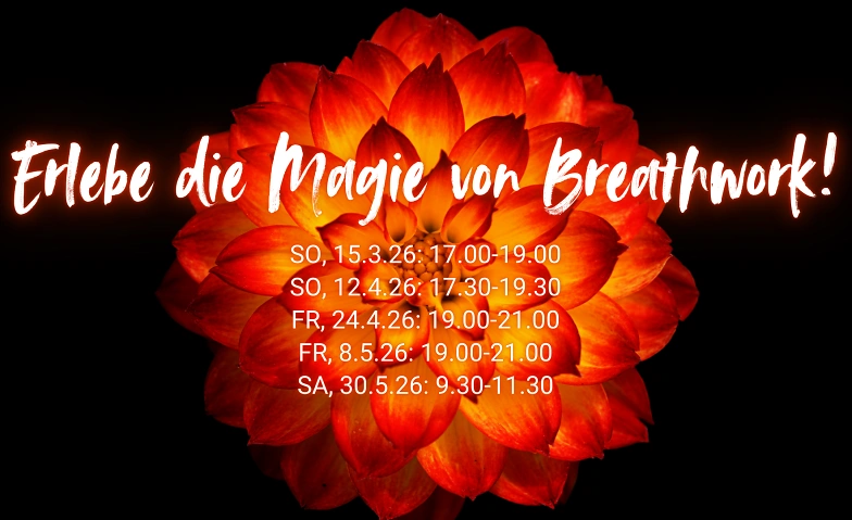 Pure Breathwork Workshop (holotrope Atmung)