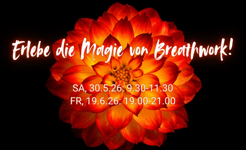 Pure Breathwork Workshop (holotrope Atmung)