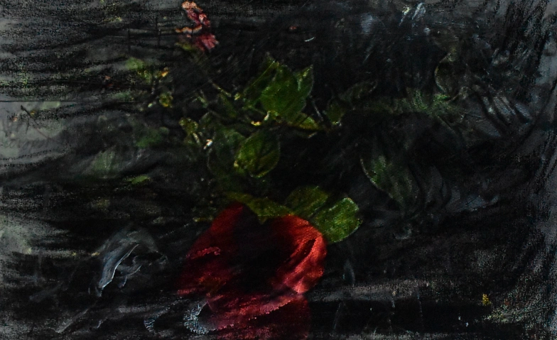 Event-Image for 'Tessa de Swart, The Wild Field, Paintings and Photographs'