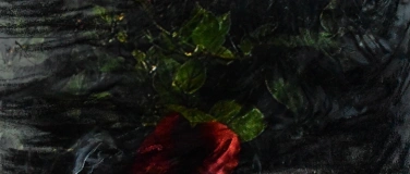 Event-Image for 'Tessa de Swart , The Wild Field, Paintings an Photographs'