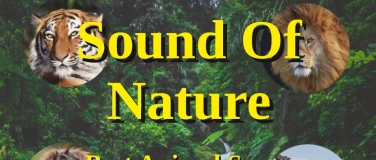 Event-Image for 'SOUND OF NATURE - Best Animal Songs'