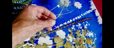 Event-Image for 'Cyanotypie-Workshop im Floragarten'