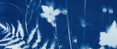 Event-Image for 'Cyanoypie Einf&uuml;hrungskurs'