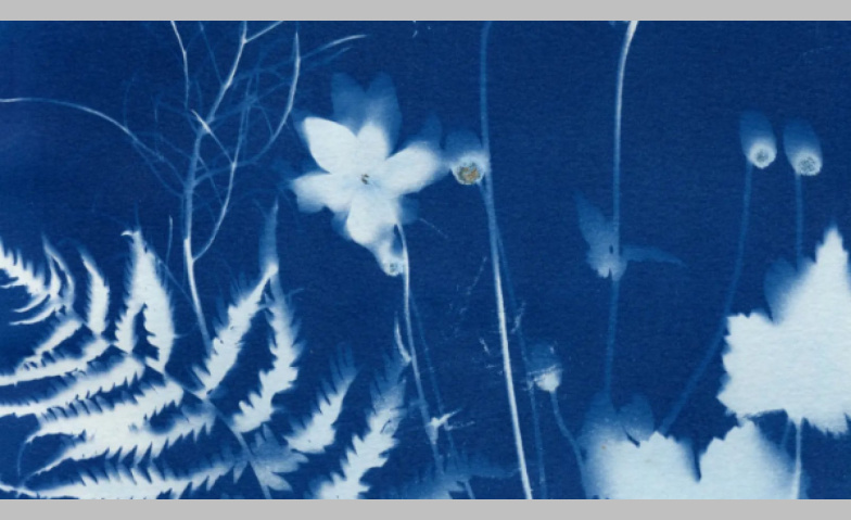 Event-Image for 'Cyanoypie Einf&uuml;hrungskurs'