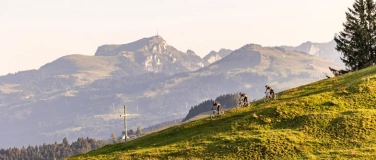 Event-Image for 'Cycle Valley'