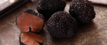 Event-Image for 'Wine & Dine Trüffelevent'