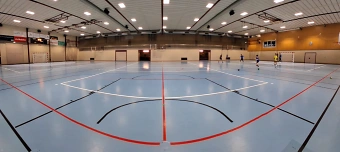 Veranstalter:in von Handballspiel