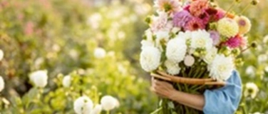 Event-Image for 'Erwachsenenkurs: Dahlienliebe'