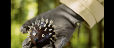 Event-Image for 'Das Versprechen'