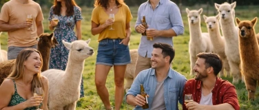 Event-Image for 'Alpaka Picknick f&uuml;r Singles - Offline Speeddating - Oetwil'