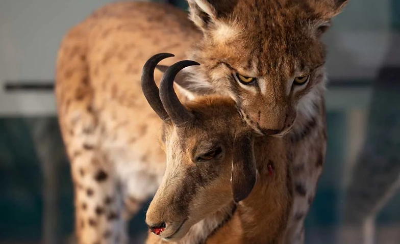 Event-Image for 'Olten - natürlich vielfältig'