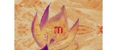 Event-Image for 'Moosalp summer day dance'