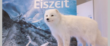 Event-Image for '«Der Eiszeit auf der Spur»'