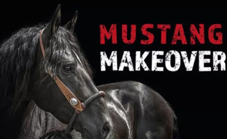Mustang Makeover Deutsche Bank Stadion Billets