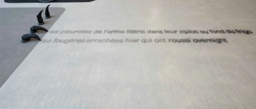 Event-Image for 'Buchvernissage: Maude Léonard-Contant. gathering'