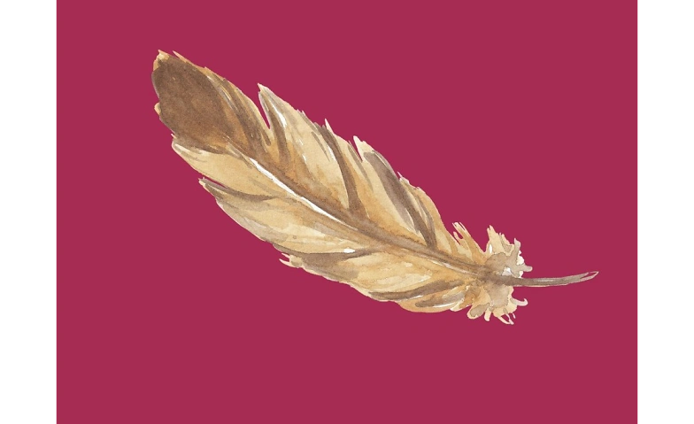 Event-Image for 'Familien-Abenteuer: Felle und Federn'