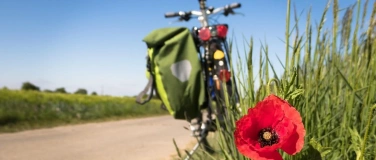 Event-Image for 'Pro Senectute: E-Velo'