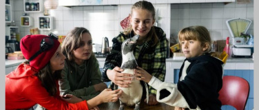 Event-Image for 'Die Chaos-Schwestern und Pinguin Paul'