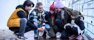 Event-Image for 'Die Chaosschwestern und Pinguin Paul'