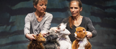 Event-Image for 'Die Muskeltiere'