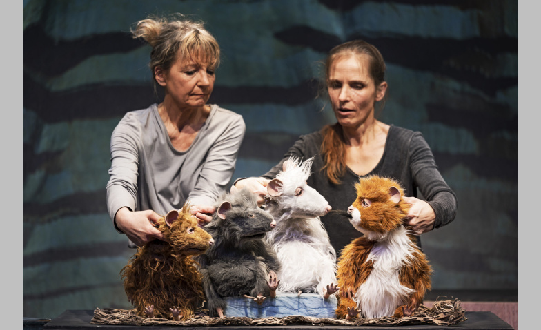 Event-Image for 'Die Muskeltiere'