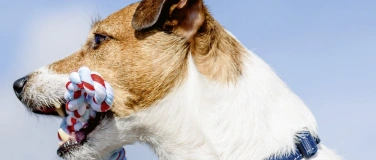 Event-Image for 'Freilichttheater "Der Diener zweier Herren"'