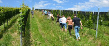 Event-Image for 'Die Weingärten der Zukunft'