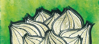 Event organiser of KNOBIL - Jazz, Songs in French - Live at Jamboree