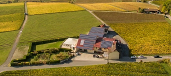 Event organiser of Soirée Vigneronne