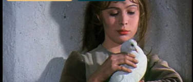 Event-Image for 'Drei Haselnüsse für Aschenbrödel'