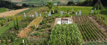 Event-Image for 'Erntefest mit Vortrag zum Thema Foodwaste'