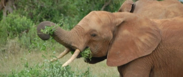 Event-Image for 'African Art & travel and Gin & Tonic Tasting'