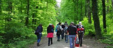 Event-Image for 'ZÄMEGOLAUFE Wandern im Höragen zum Grenzweg.'